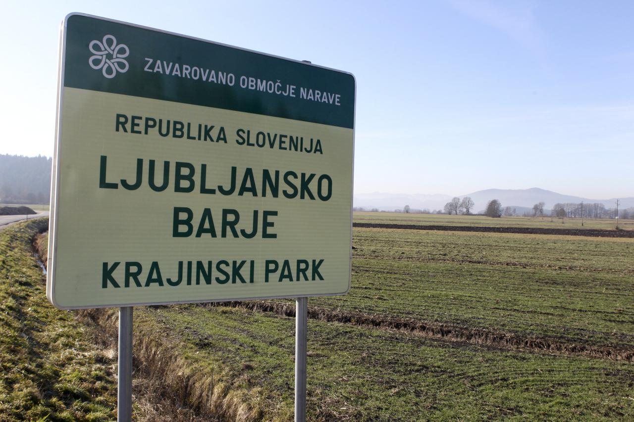 Barje, lepo, a premalo poznano