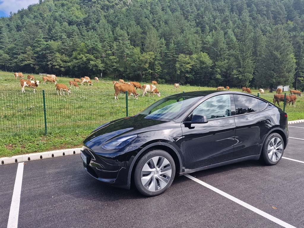 Telefon na kolesih – Tesla Y