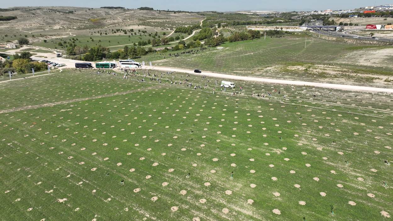 Scania v Španiji posadila 4500 dreves